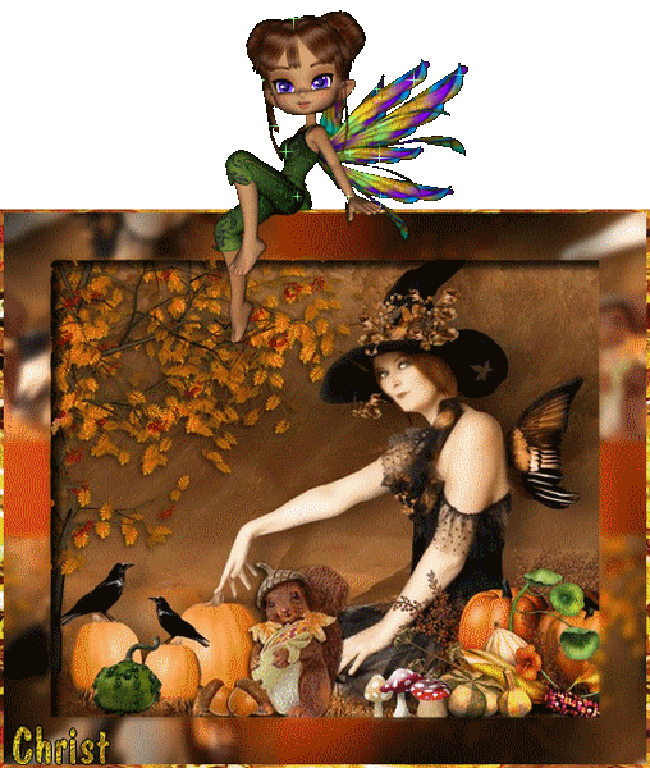 Image hébergée par Casimages.com : votre hébergeur d images simple et gratuit