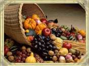 action_grace_270_202