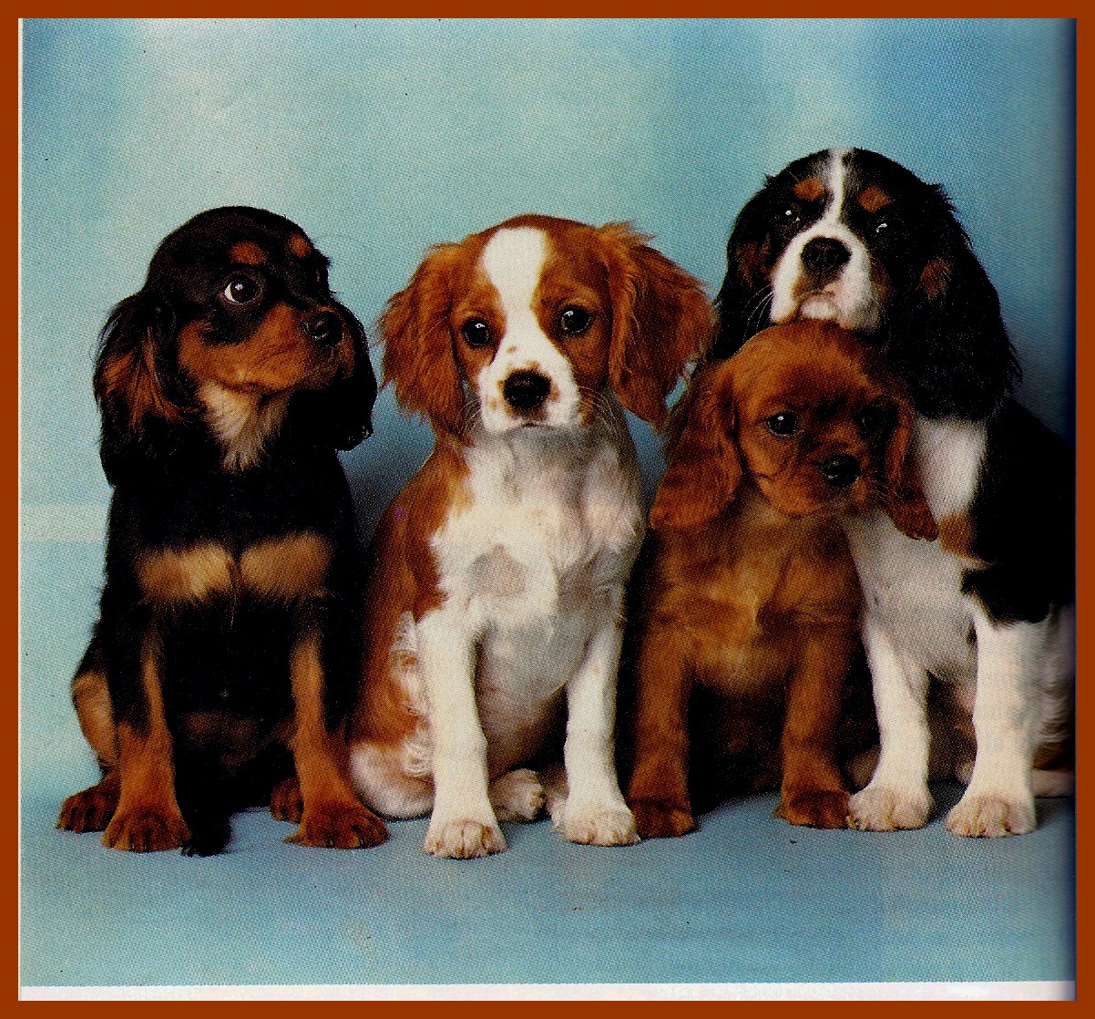 Image h�berg�e par Casimages.com : votre h�bergeur d images simple et gratuit