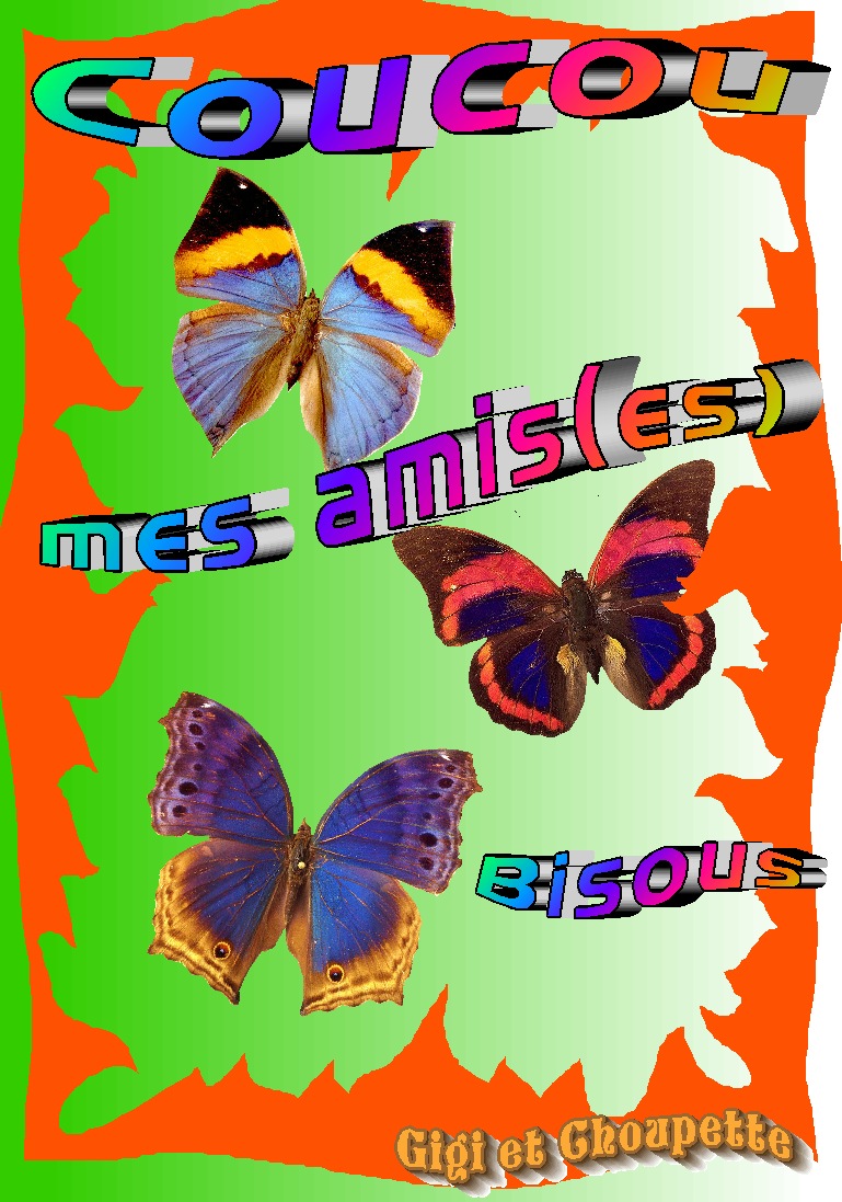 Image h�berg�e par Casimages.com : votre h�bergeur d images simple et gratuit