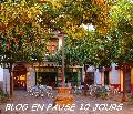 Cliquez pour afficher l'image en taille r�elle