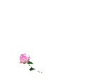 http://nsm02.casimages.com/img/2009/10/14//091014081533846754636359.gif