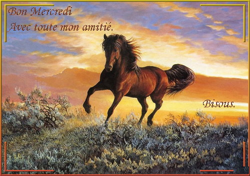 voir l'image en taille réelle