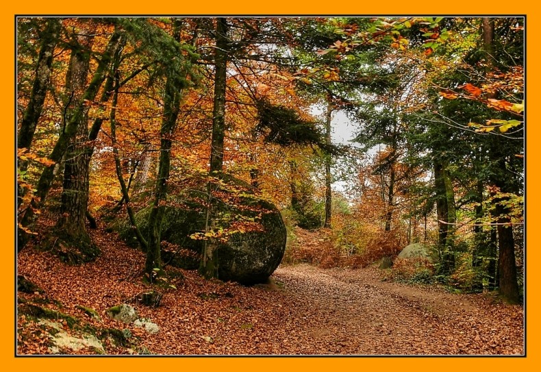 Image h�berg�e par Casimages.com : votre h�bergeur d images simple et gratuit