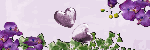 Image hébergée par Casimages.com : votre hébergeur d images simple et gratuit