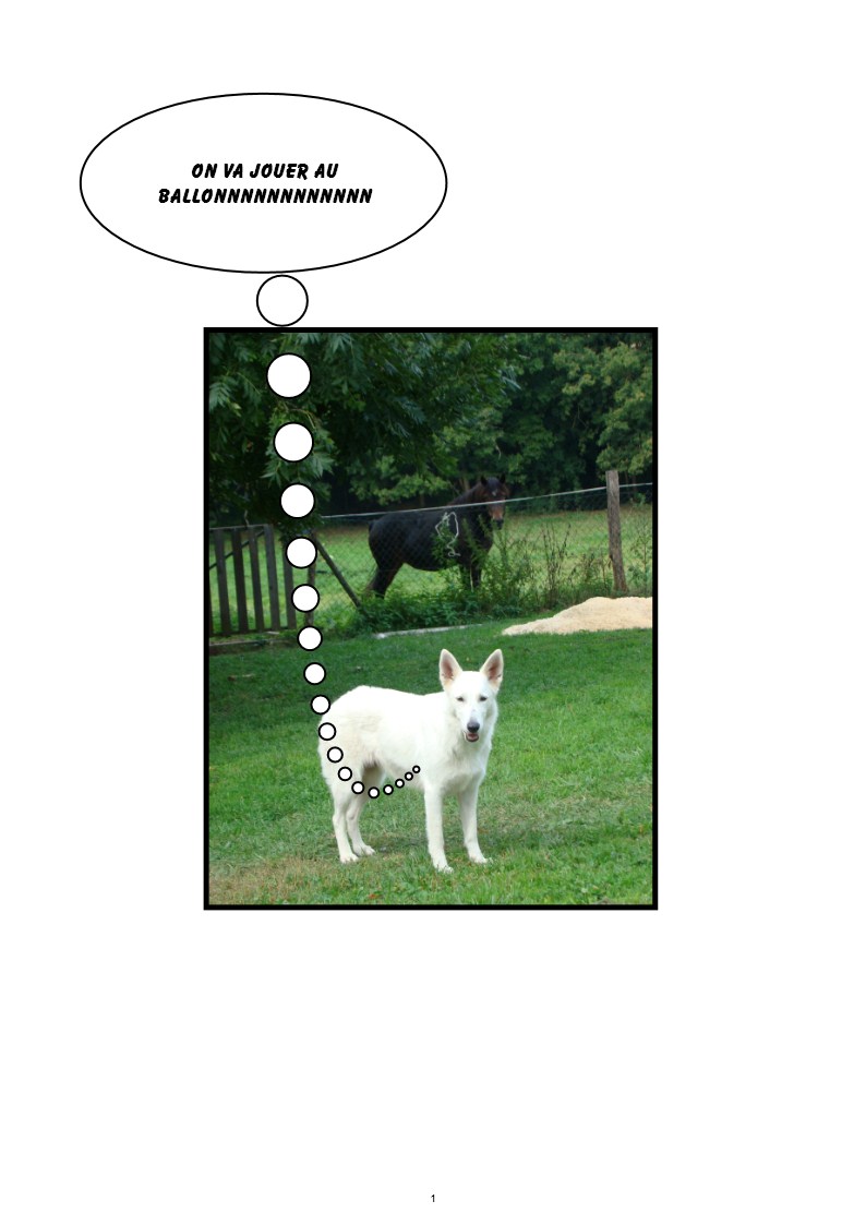 Image h�berg�e par Casimages.com : votre h�bergeur d images simple et gratuit