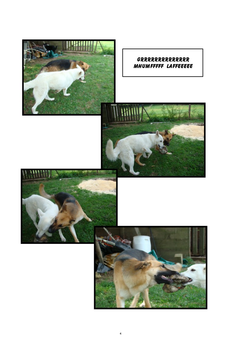 Image h�berg�e par Casimages.com : votre h�bergeur d images simple et gratuit