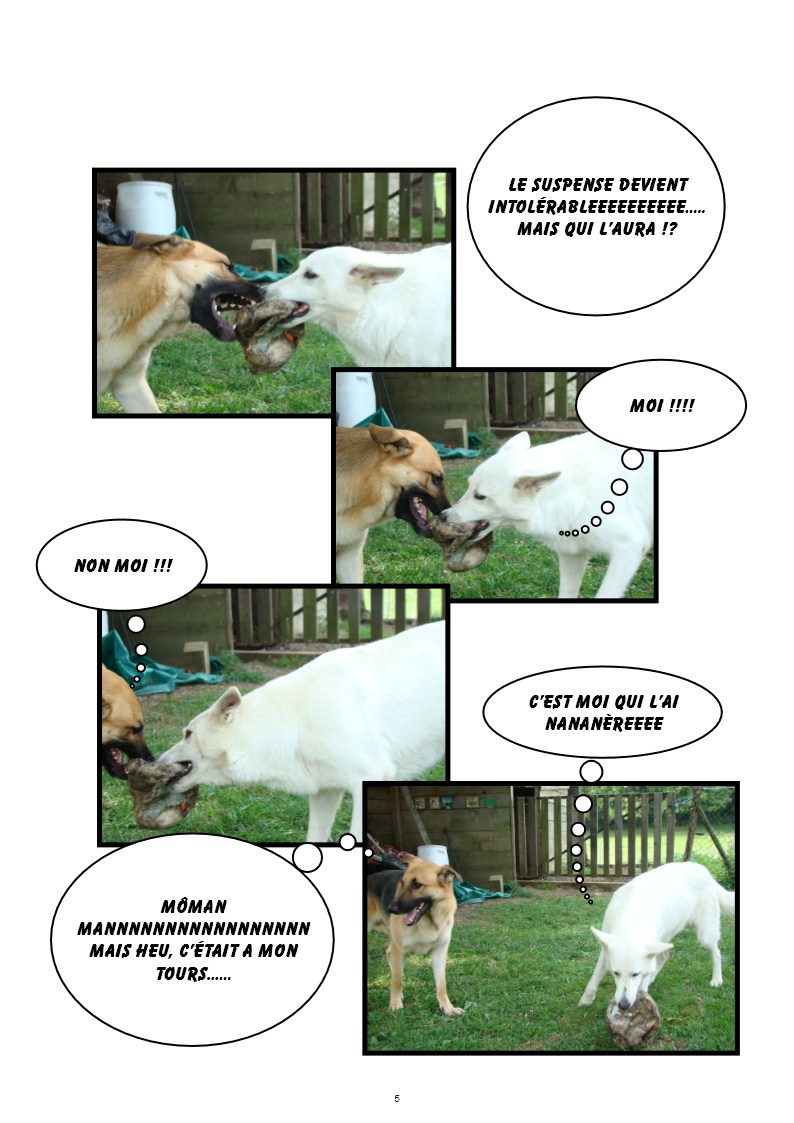 Image h�berg�e par Casimages.com : votre h�bergeur d images simple et gratuit