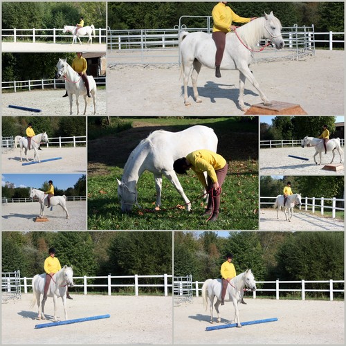 Image hébergée par Casimages.com : votre hébergeur d images simple et gratuit