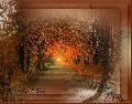 Hebergement gratuit d image et photo
