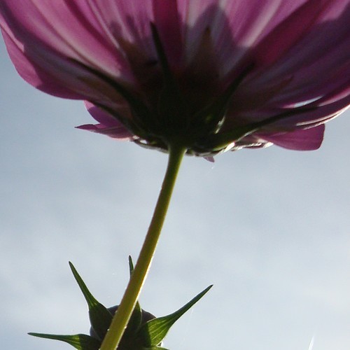 Image hébergée par Casimages.com : votre hébergeur d images simple et gratuit