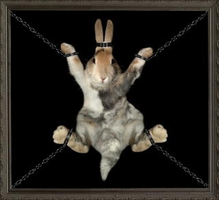 Image hébergée par Casimages.com : votre hébergeur d
images simple et gratuit