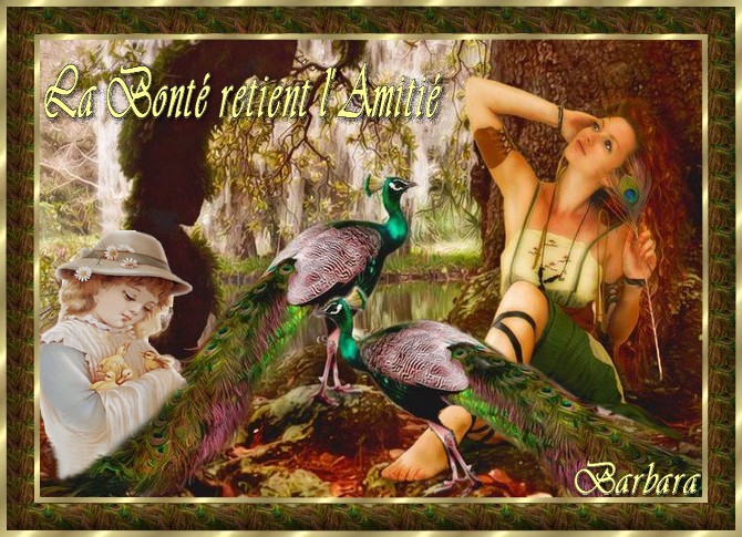 Image h�berg�e par Casimages.com : votre h�bergeur d images simple et gratuit