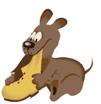 Image h�berg�e par Casimages.com : votre h�bergeur d images simple et gratuit