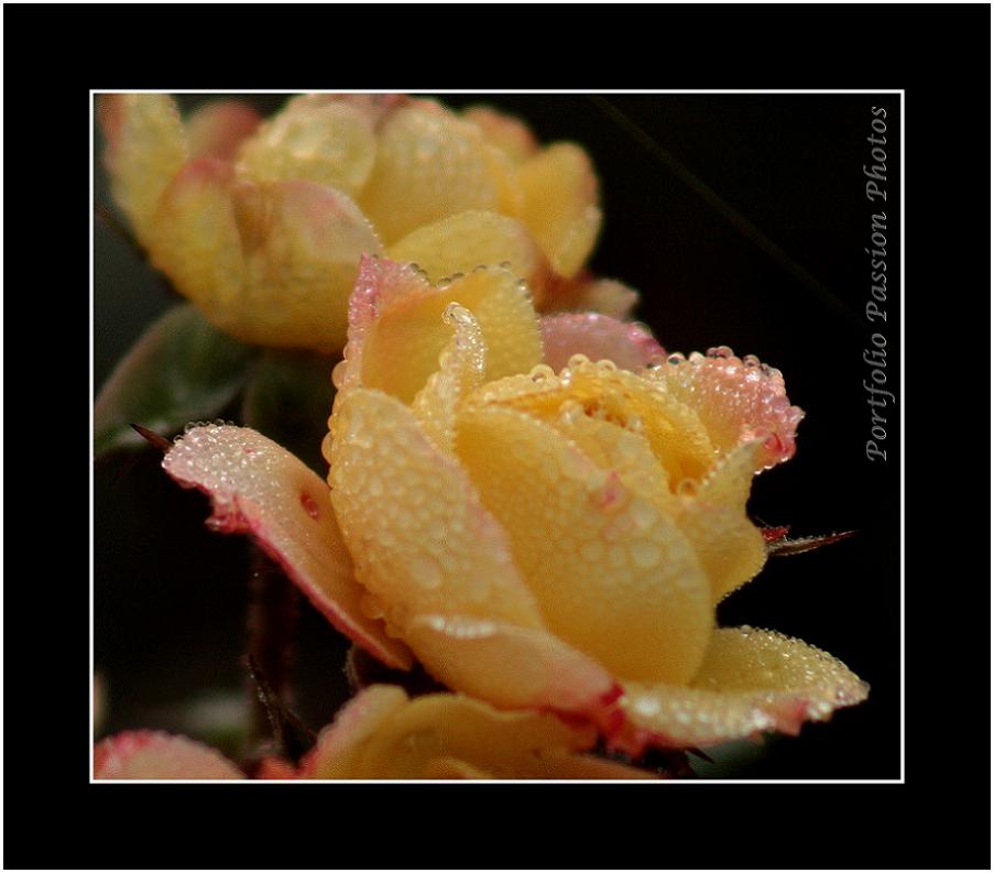 Image hébergée par Casimages.com : votre hébergeur d images simple et gratuit