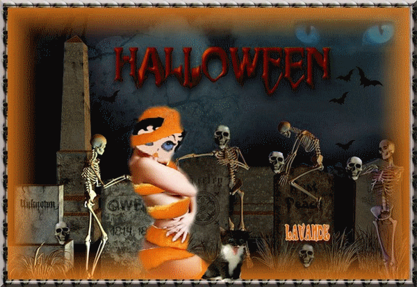 Image hébergée par Casimages.com : votre hébergeur d images simple et gratuit