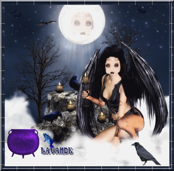 Image hébergée par Casimages.com : votre hébergeur d images simple et gratuit