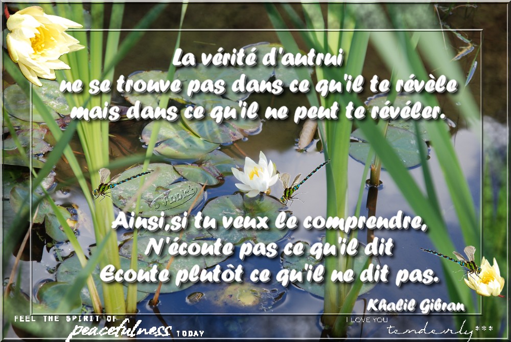 voir l'image en taille réelle