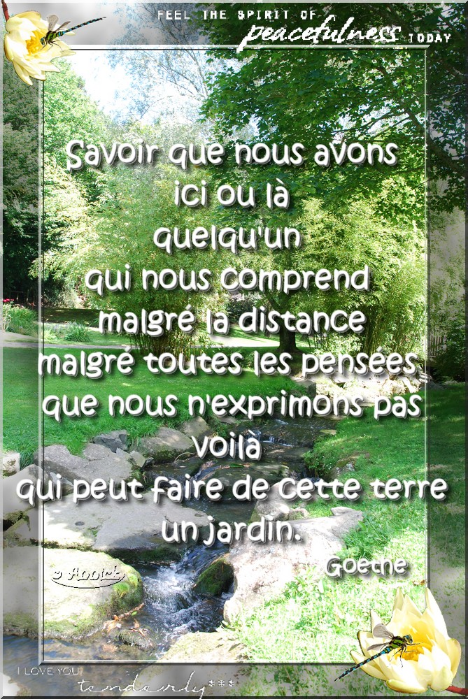 voir l'image en taille réelle