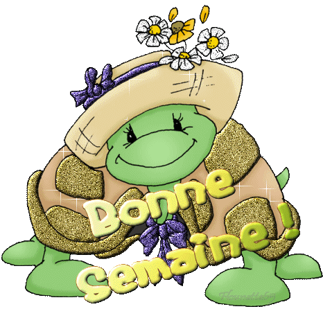 Image hébergée par Casimages.com : votre hébergeur d images simple et gratuit