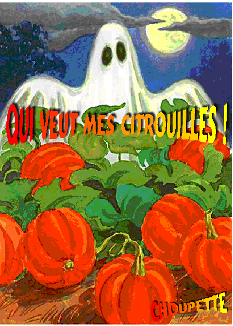 Image h�berg�e par Casimages.com : votre h�bergeur d images simple et gratuit