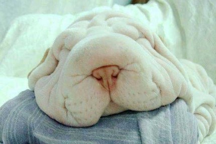 Image hébergée par Casimages.com : votre hébergeur d images simple et gratuit