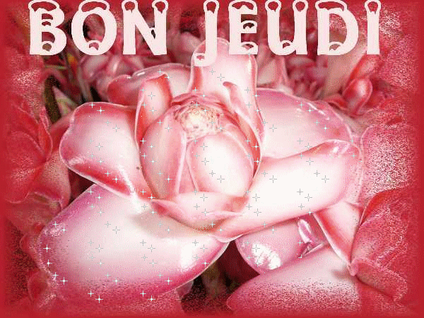 Image hébergée par Casimages.com : votre hébergeur d images simple et gratuit