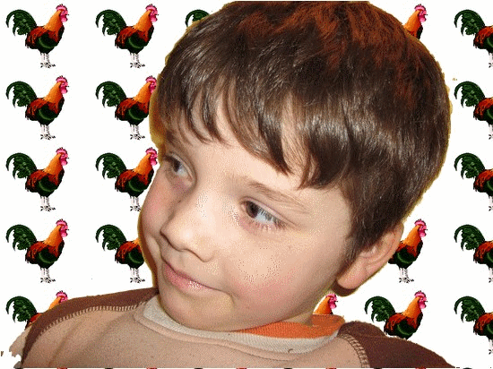Image hébergée par Casimages.com : votre hébergeur d images simple et gratuit