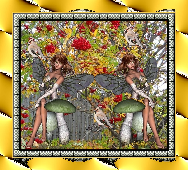 http://nsm02.casimages.com/img/2009/10/22/091022021657616284690948.jpg