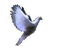 Image hébergée par Casimages.com : votre hébergeur d images simple et gratuit