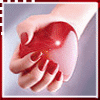Image h�berg�e par Casimages.com : votre h�bergeur d images simple et gratuit