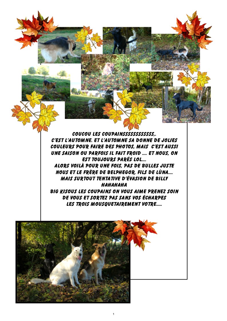 Image h�berg�e par Casimages.com : votre h�bergeur d images simple et gratuit