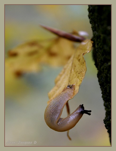 Image hébergée par Casimages.com : votre hébergeur d images simple et gratuit