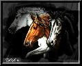 Hebergement gratuit d image et photo
