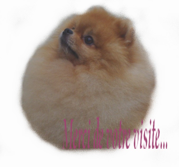 Image h�berg�e par Casimages.com : votre h�bergeur d images simple et gratuit