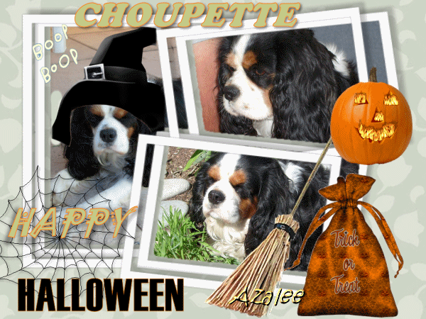 Image hébergée par Casimages.com : votre hébergeur d images simple et gratuit