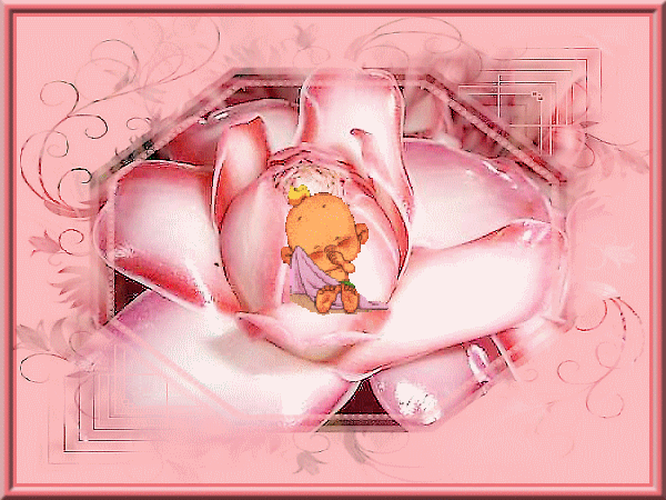 Image hébergée par Casimages.com : votre hébergeur d images simple et gratuit