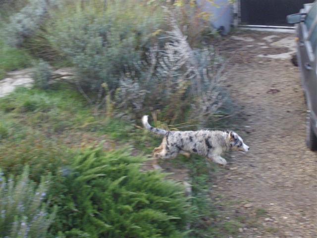 Image h�berg�e par Casimages.com : votre h�bergeur d images simple et gratuit