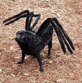 Image hébergée par Casimages.com : votre hébergeur d images simple et gratuit