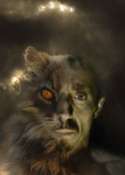 Vignette_Felin