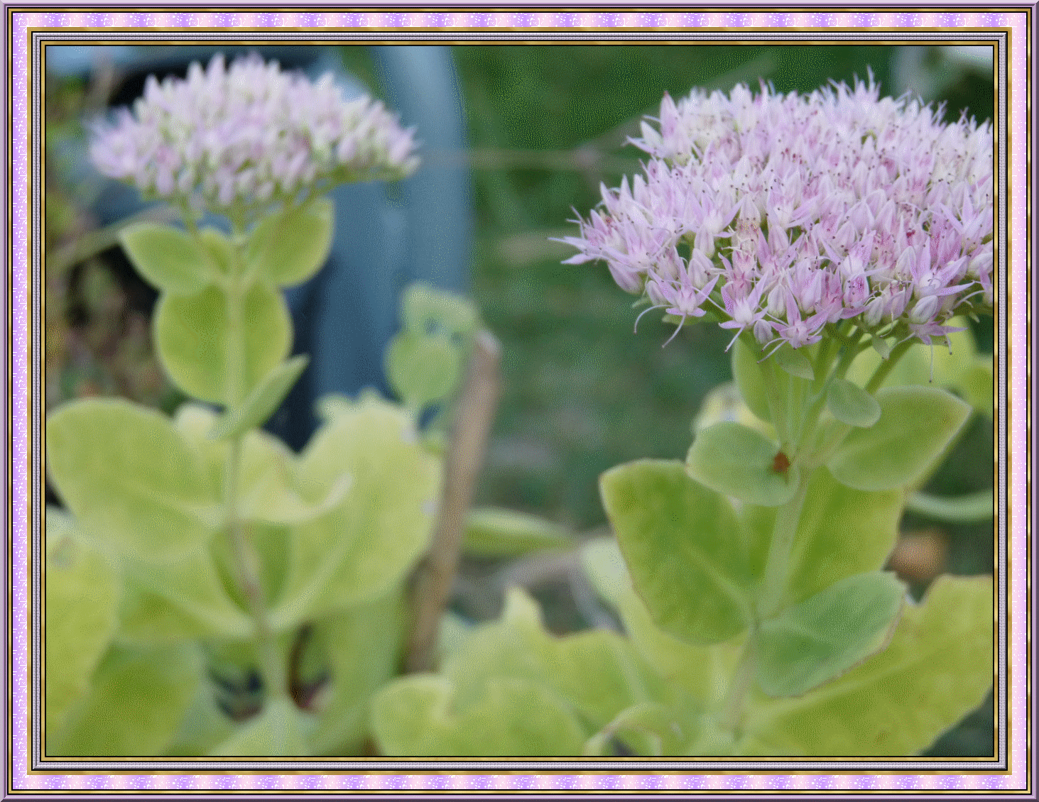 Image hébergée par Casimages.com : votre hébergeur d images simple et gratuit
