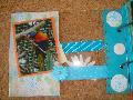 DSC08739.JPG