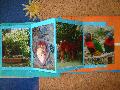 DSC08753.JPG