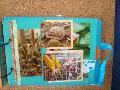 DSC08756.JPG