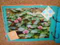 DSC08757.JPG