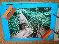 DSC08765.JPG