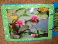 DSC08767.JPG