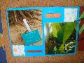 DSC08769.JPG