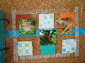 DSC08777.JPG