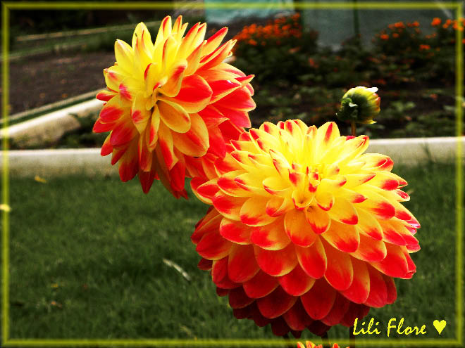 Image hébergée par Casimages.com : votre hébergeur d images simple et gratuit